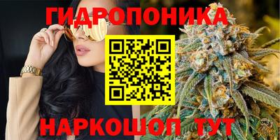 гашик Канаш