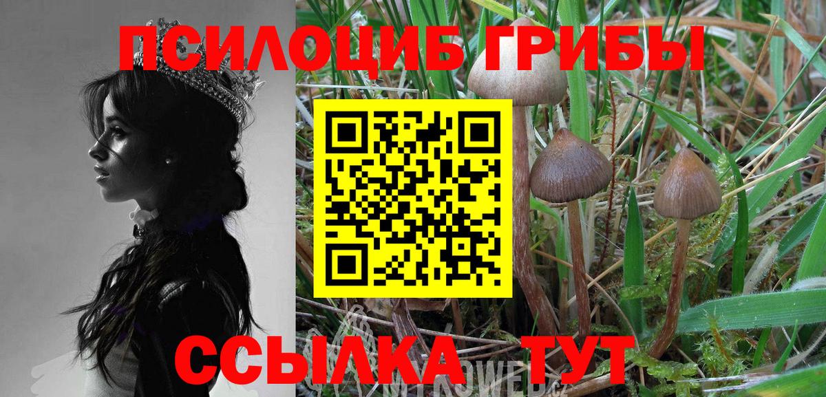 Меф МЯУ МЯУ кристаллы  Кодеин  Марихуана  Купить закладку  Cocaine  Гашиш  Лесозаводск  Вход с VPN 